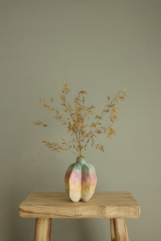 Vaas Rainbow Carambola