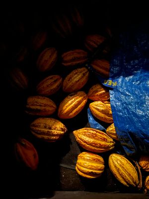 Gamme Cacao – Soins unifiants et hydratants