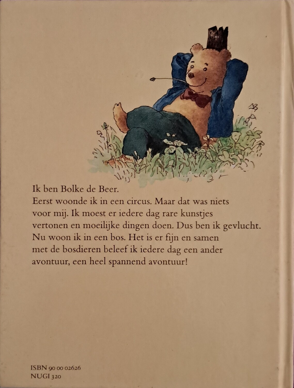 Bolke de beer  de ziekenhut in het bos 41