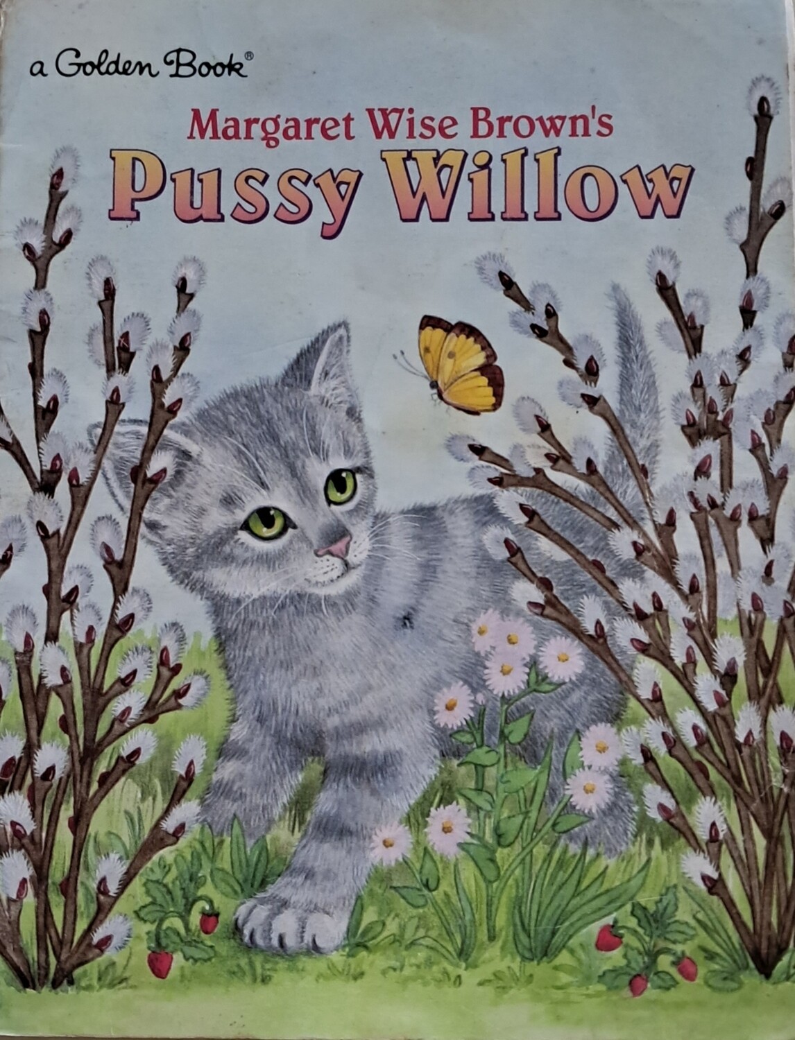 Pussy Willow 43