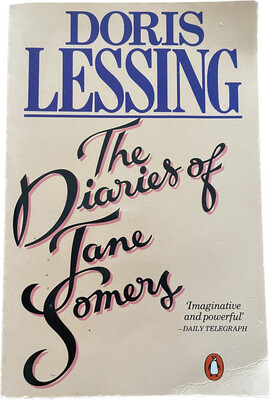 The diaries of Jane somers
