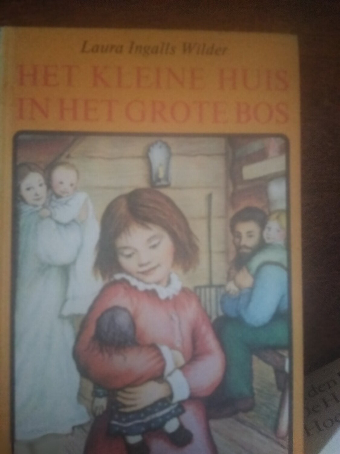 Het kleine huis in het grote bos 41
