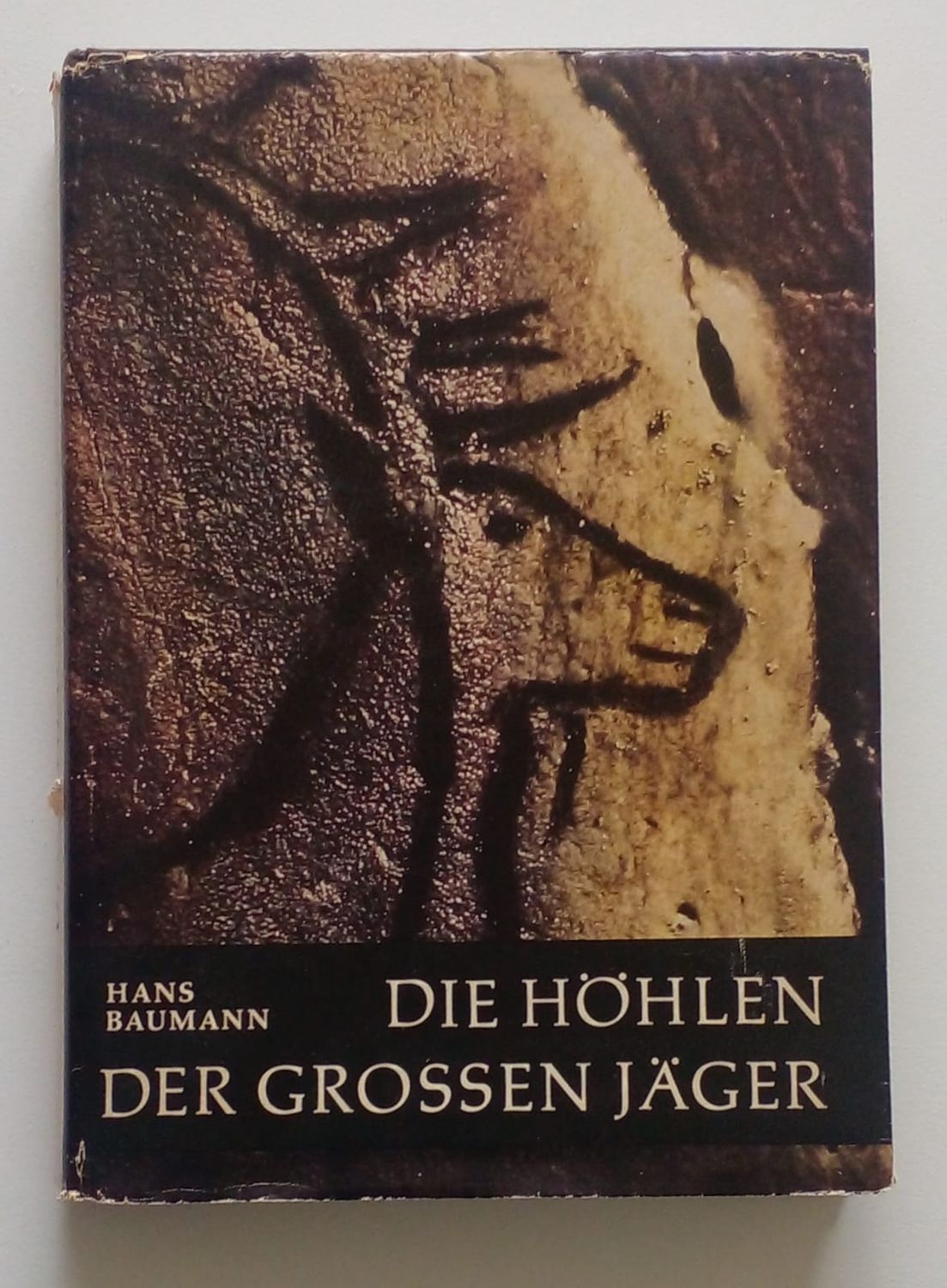 DIE HOHLEN DER GROSSEN JAGER [D2]