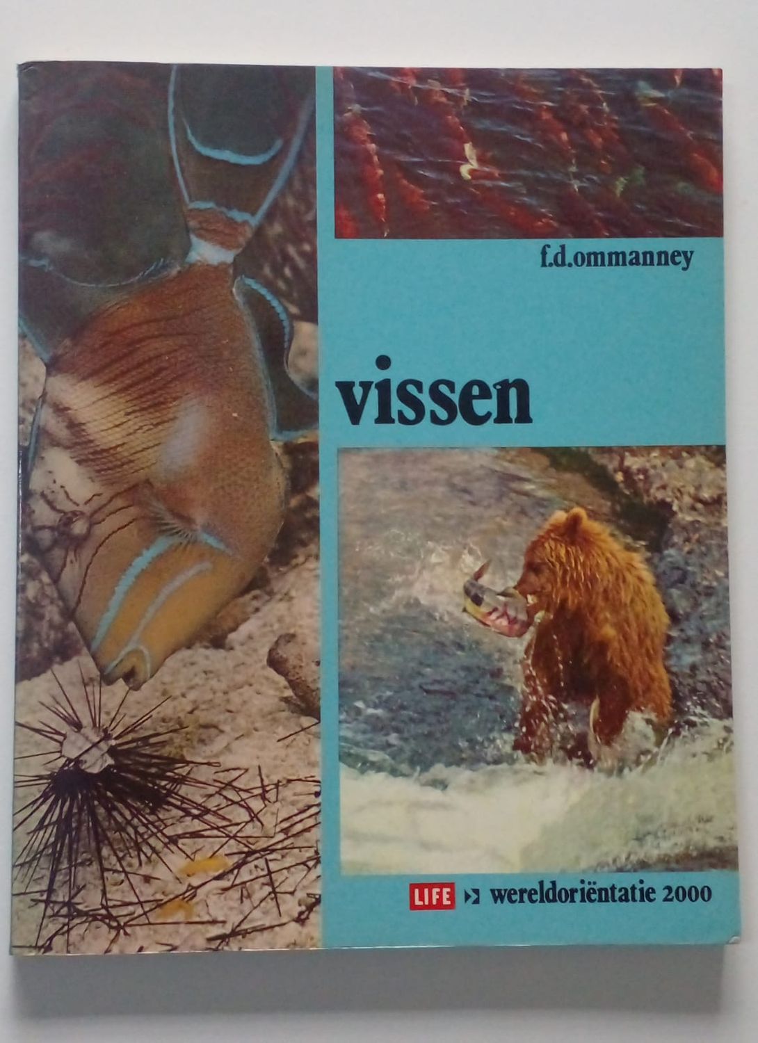 Vissen [D8]