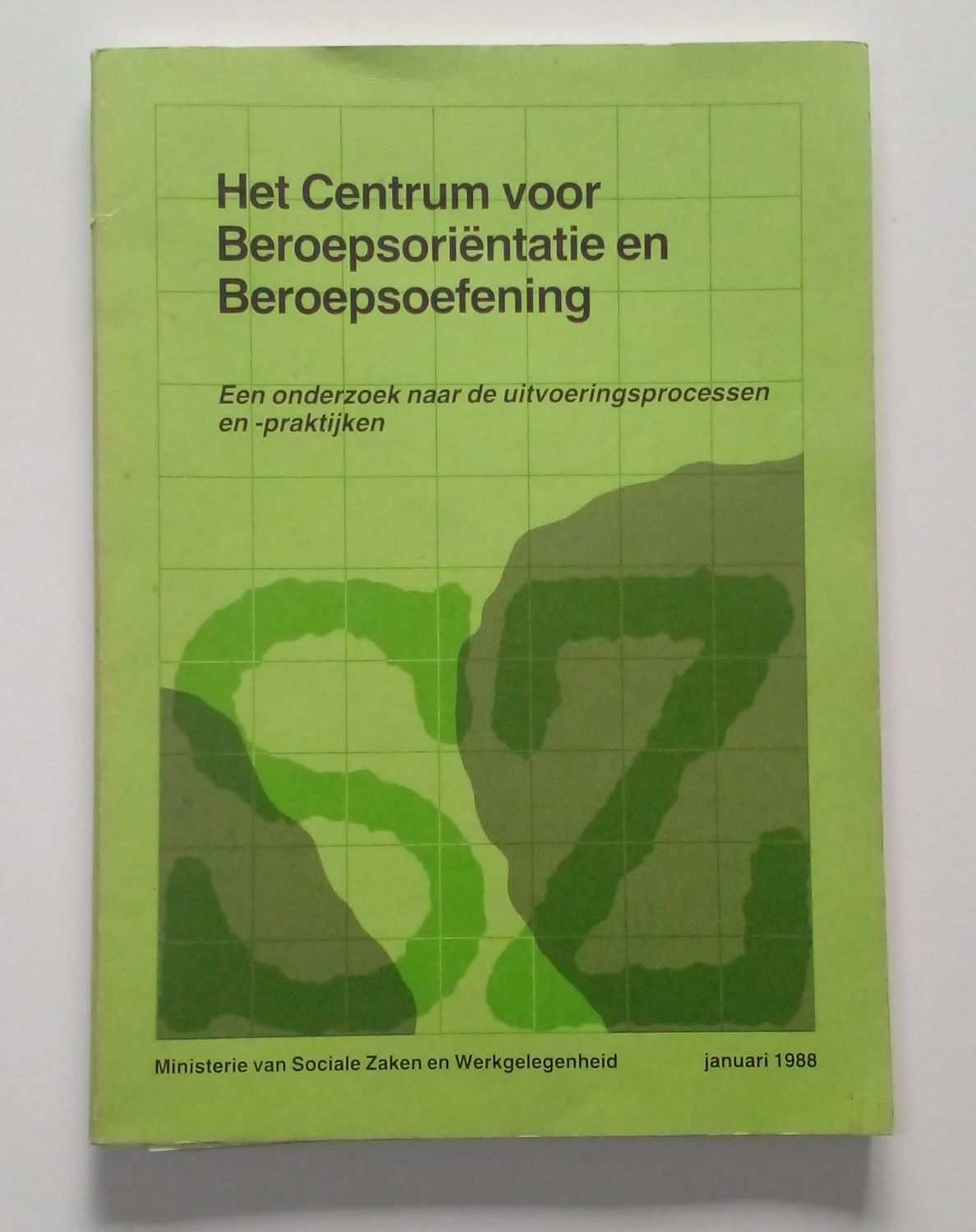 Het Centrum voor Beroepsorientatie en Beroepsoefening [D8]