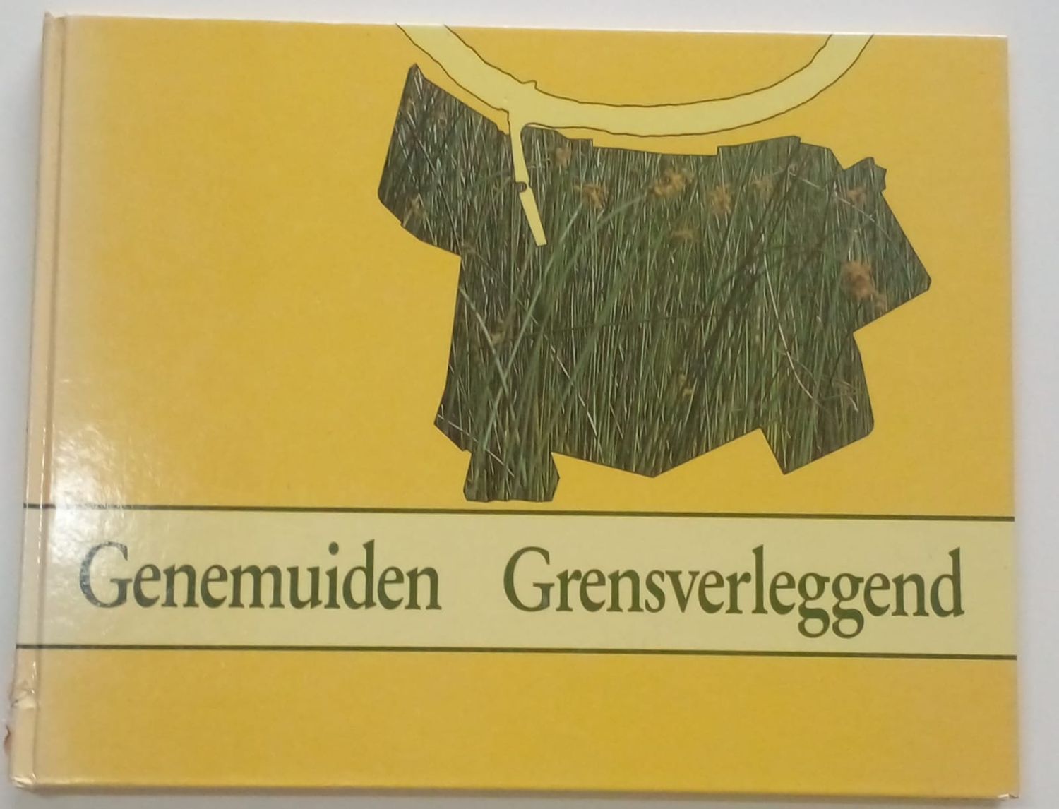 Genemuiden Grensverleggend [D13]