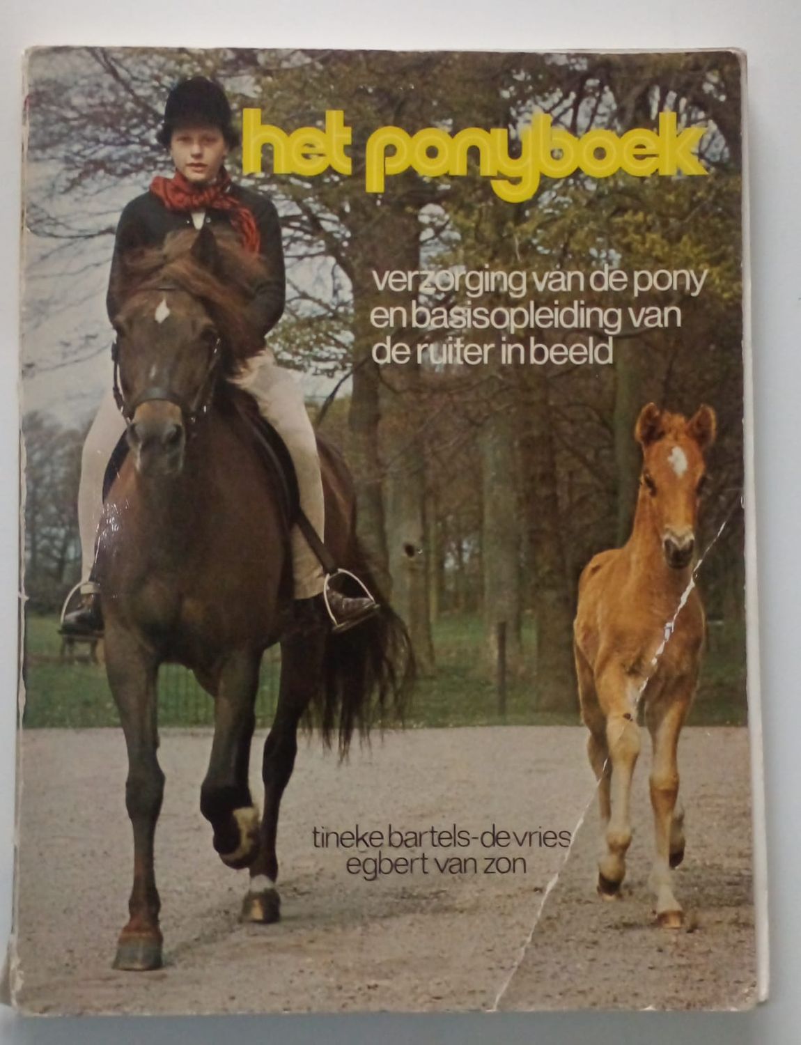 Het ponyboek [D18]