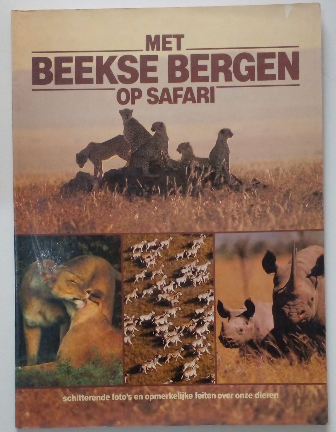 Met Beekse bergen op Safari [D18]