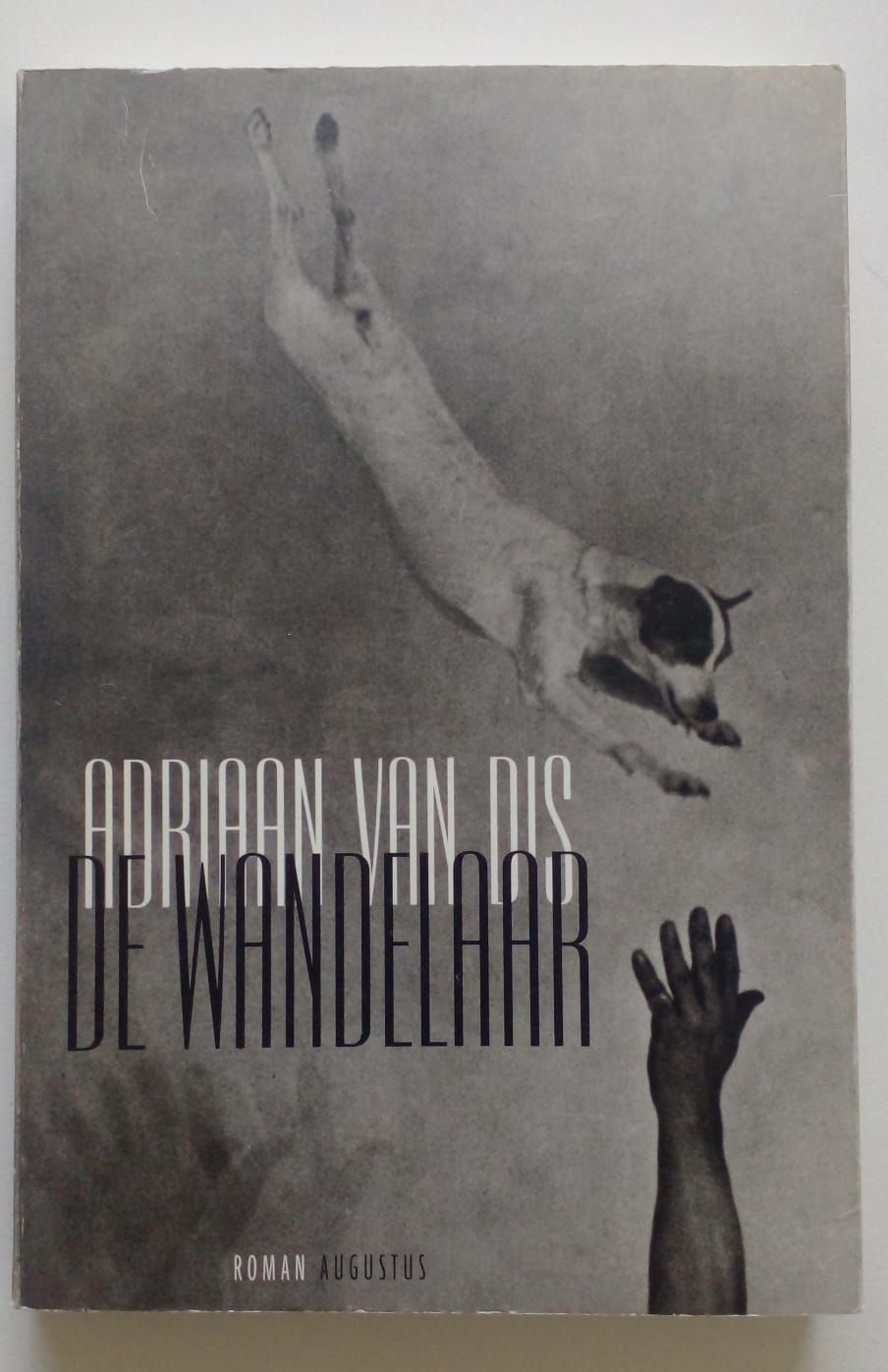 De wandelaar [D19]