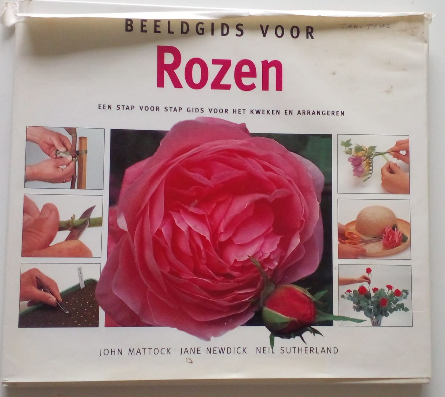 Beeldgids voor Rozen [D23]