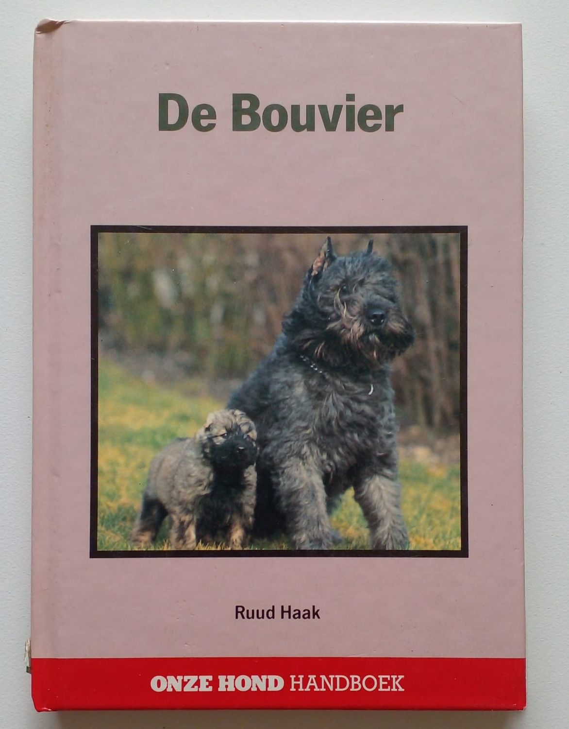 De Bouvier [D26]