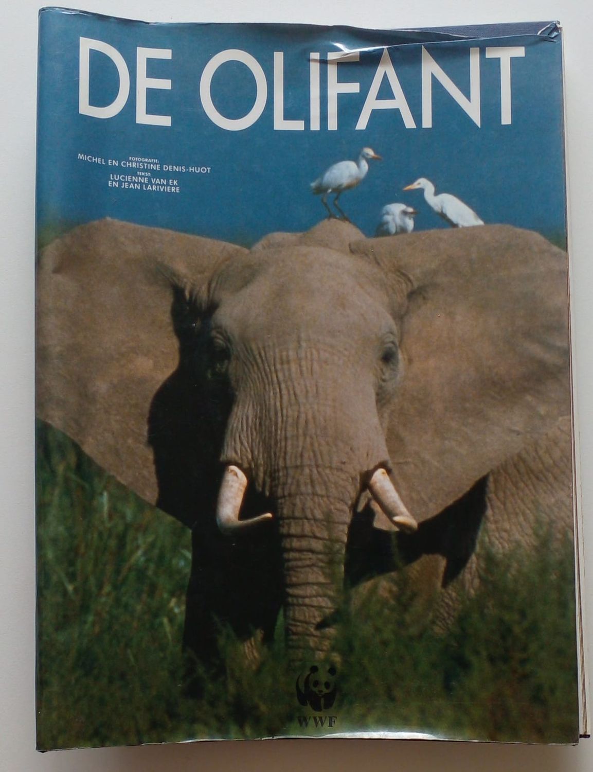 DE OLIFANT [D25]