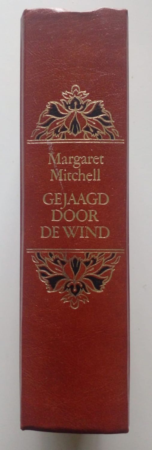 Gejaagd door de wind [D29]
