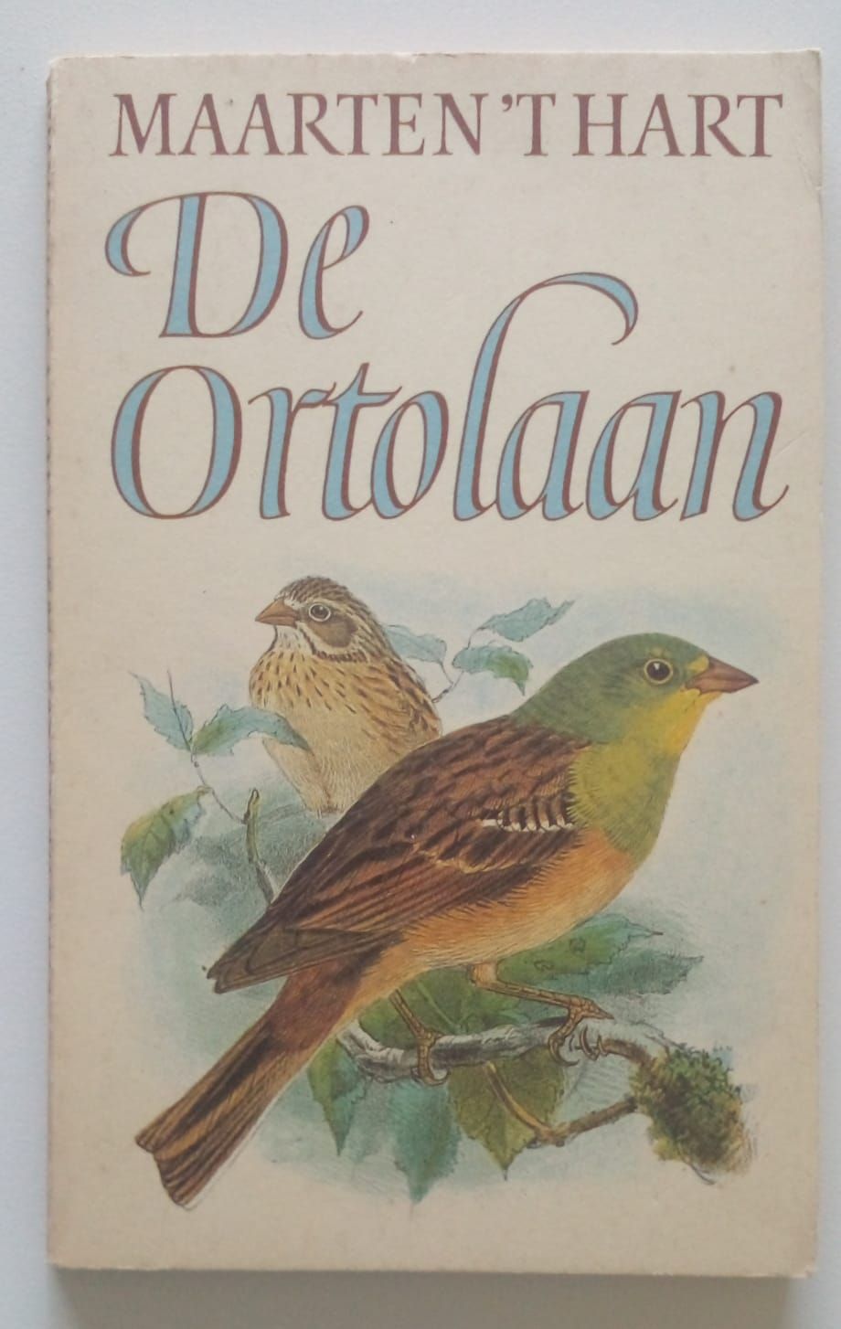 De ortolaan [D30]