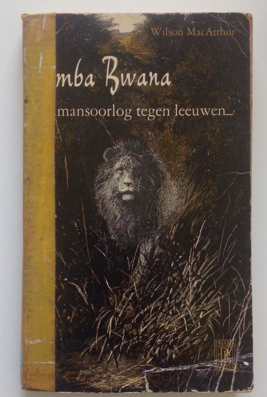 Simba Bwana [D31]