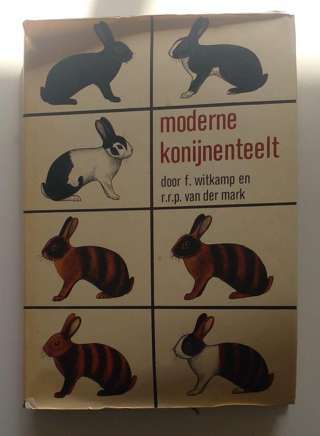 Moderne konijnenteelt [D34]