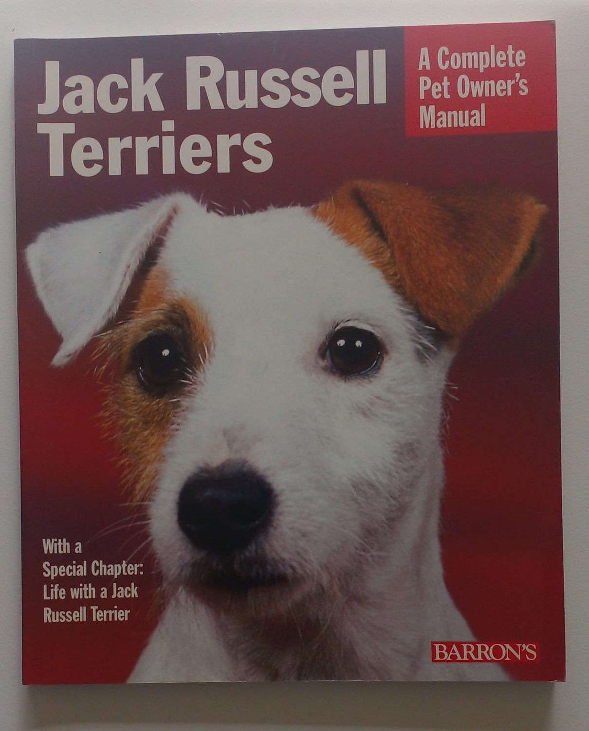 Jack Russell Terriers [D34]