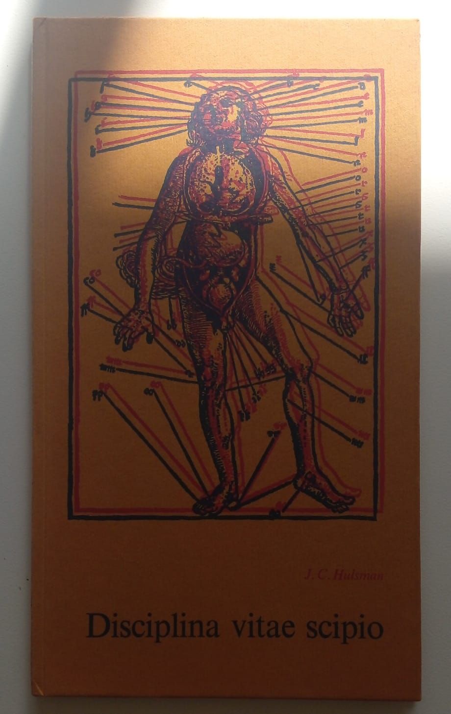 Disciplina vitae scipio 38