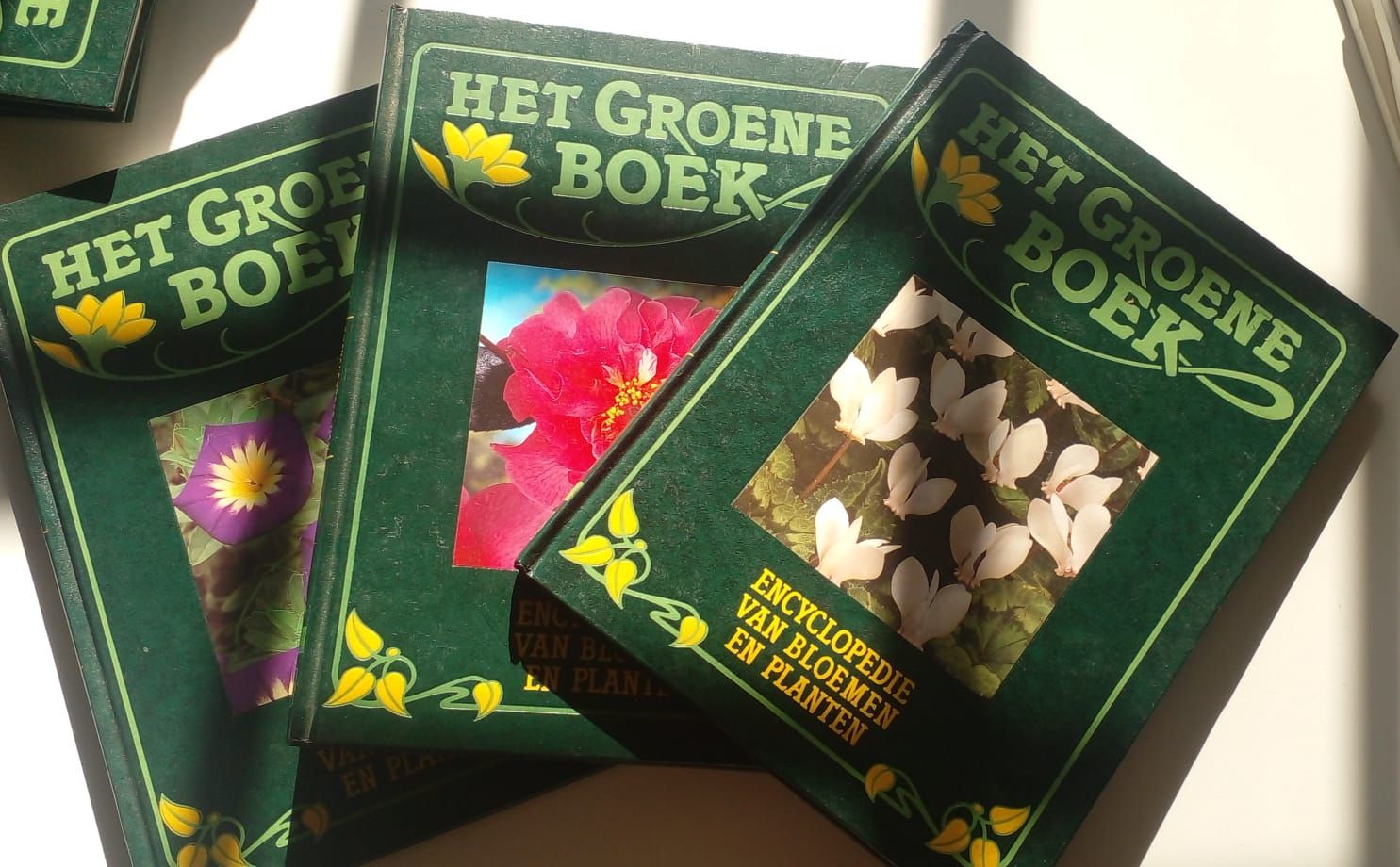Het groene boek set [5 delen] 59