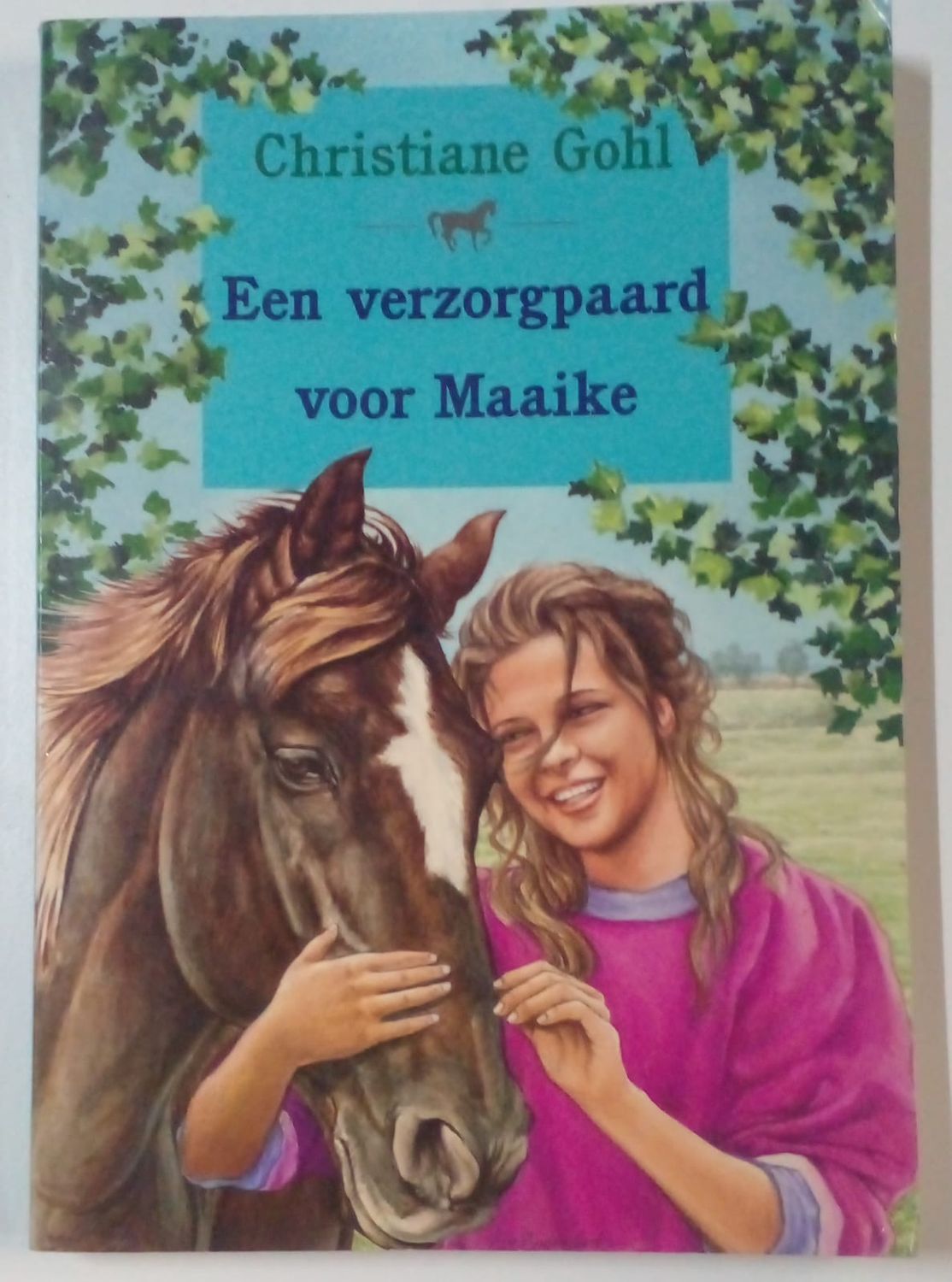 Een verzorgpaard voor Maaike 58