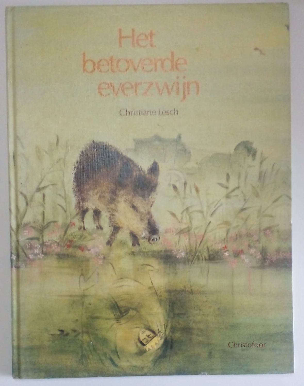 Het betoverde everzwijn 42