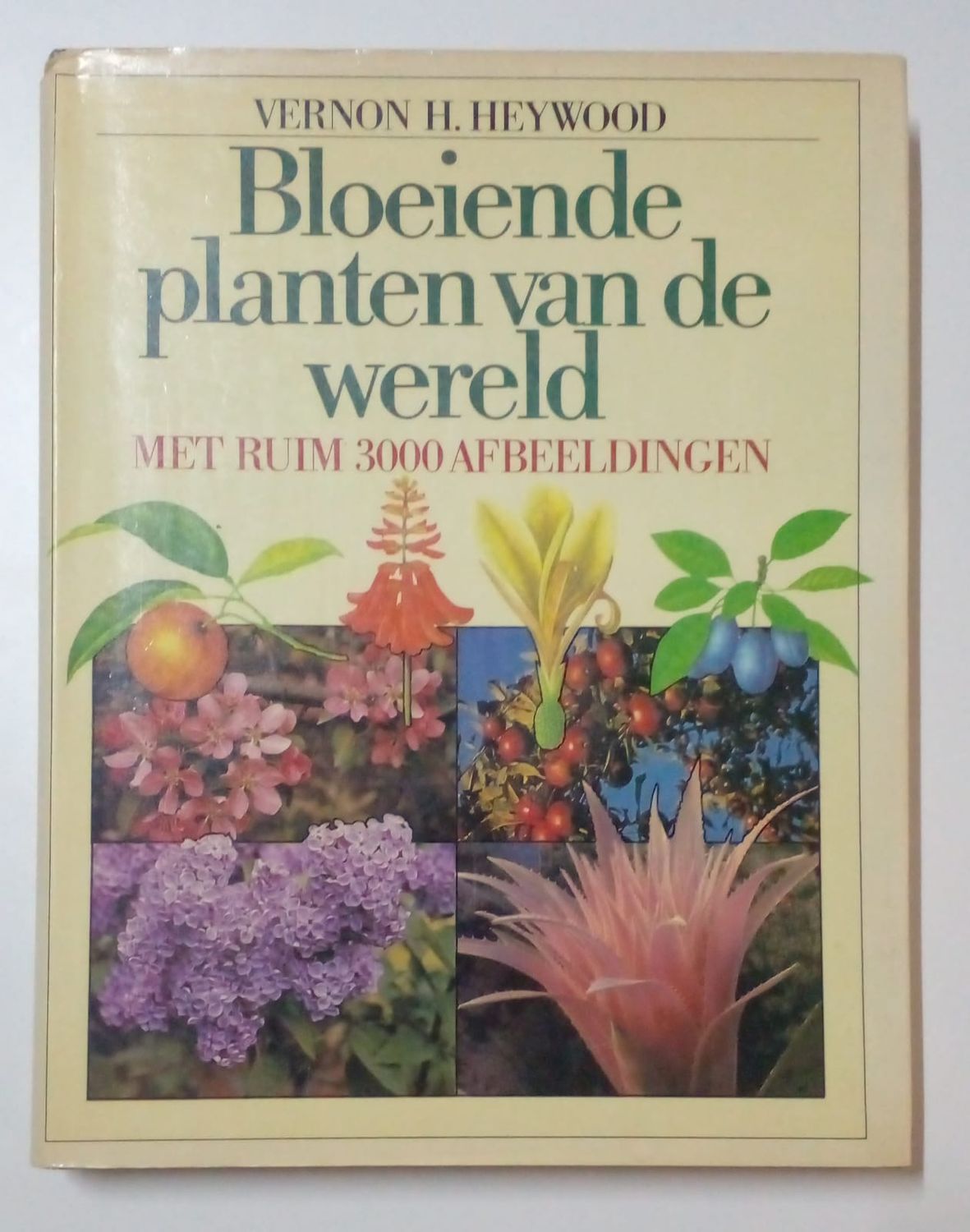 Bloeiende planten van de wereld 48