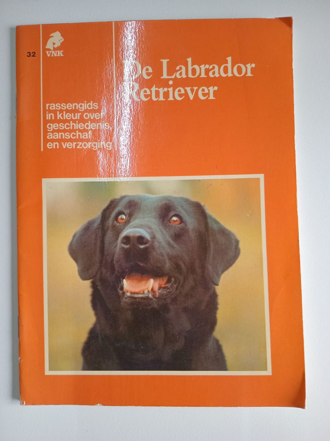 De labrador 54