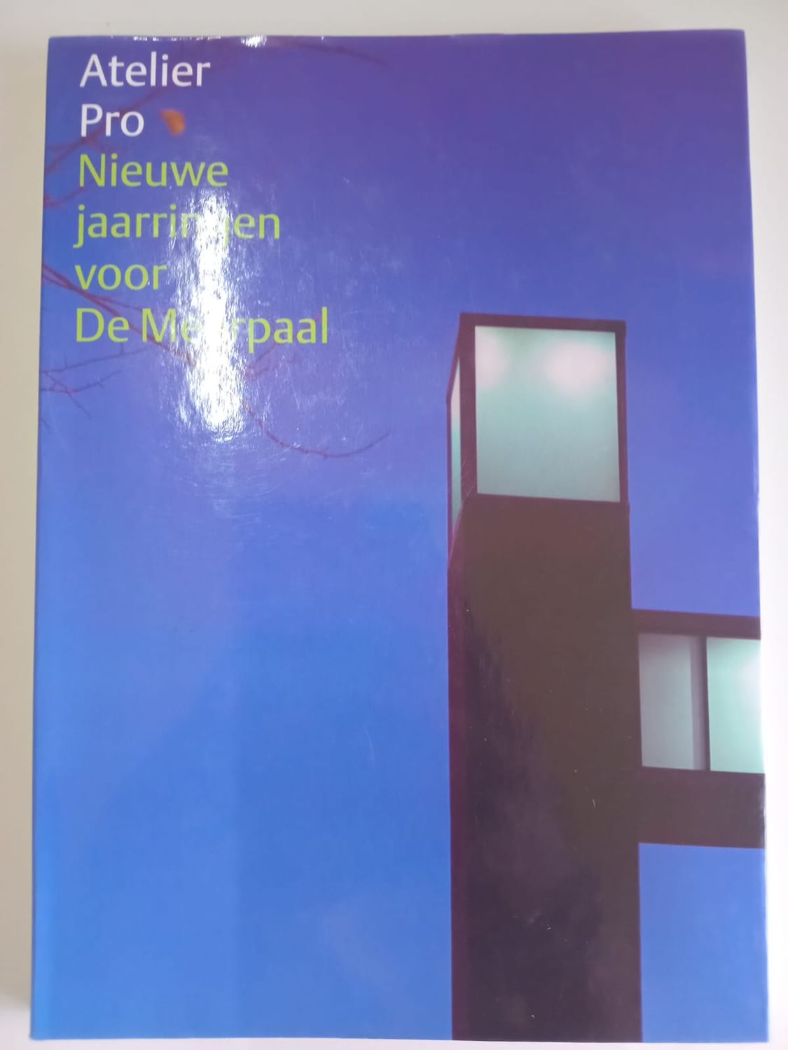 Mieuwe jaarringen voor de meerpaal 55