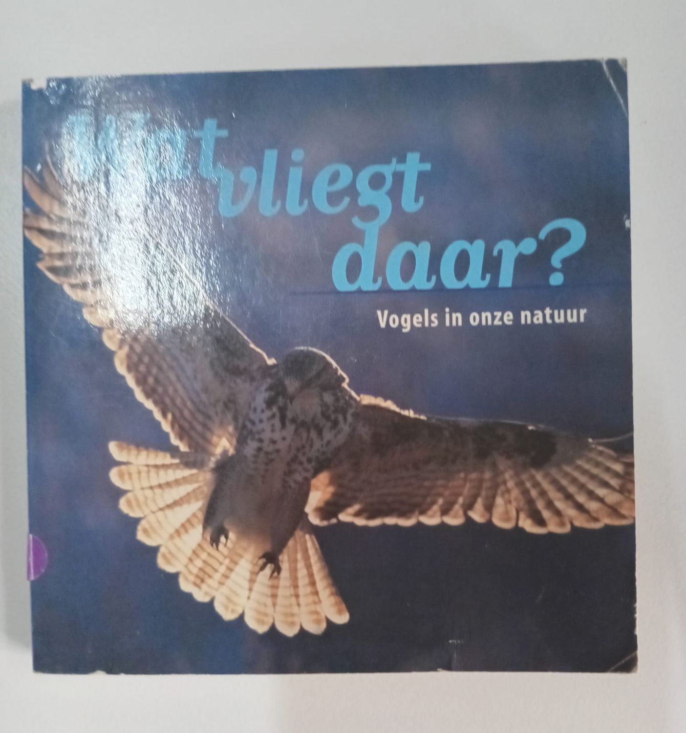 Wat vliegt daar ? 56