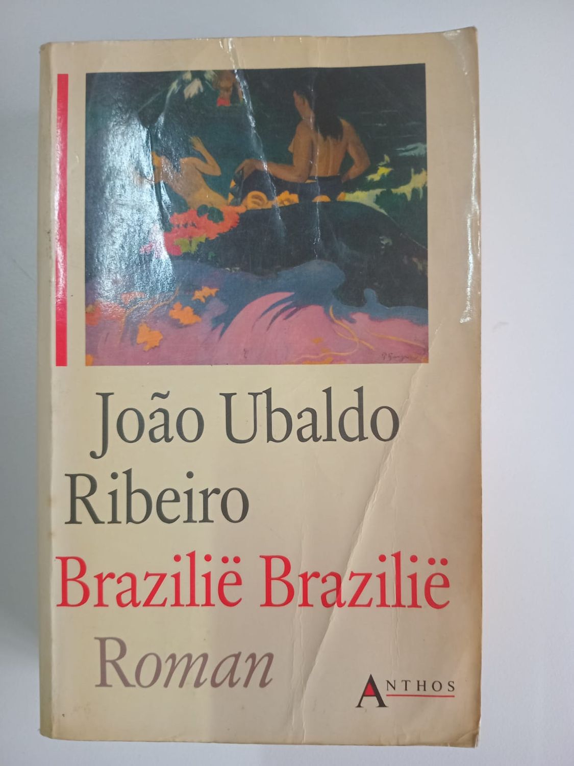 Brazilie Brazilie 56