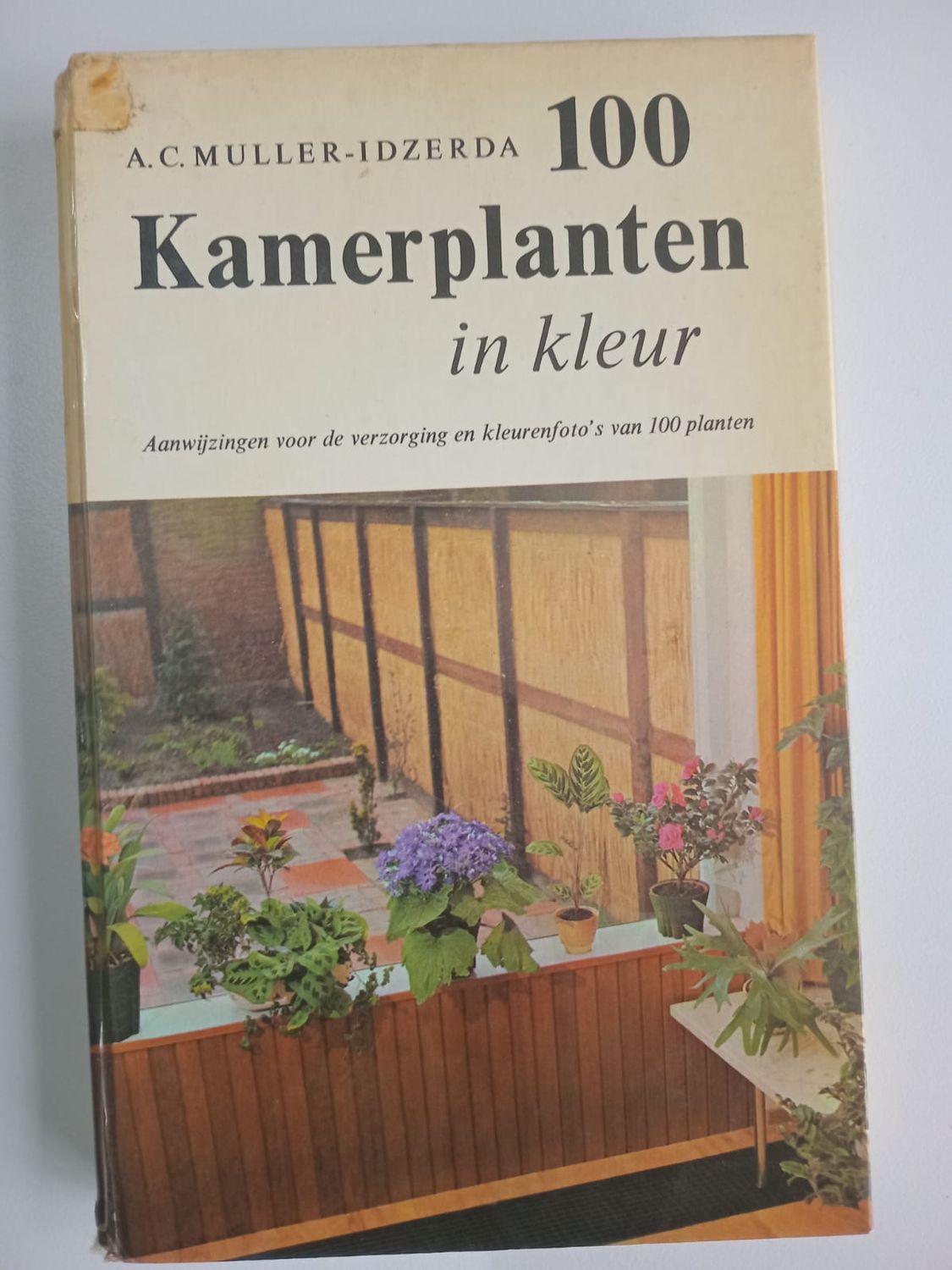 100 kamerplanten in kleur 56