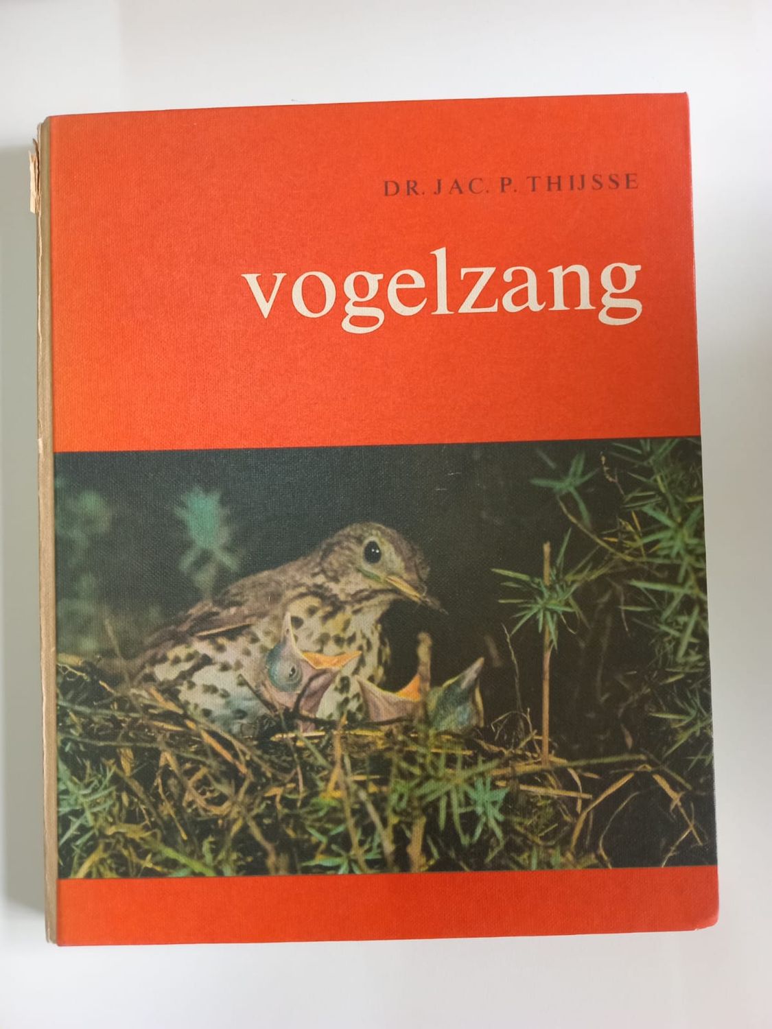 Vogelzang 30