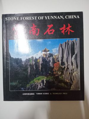 Stone forest of yunnan, China 62