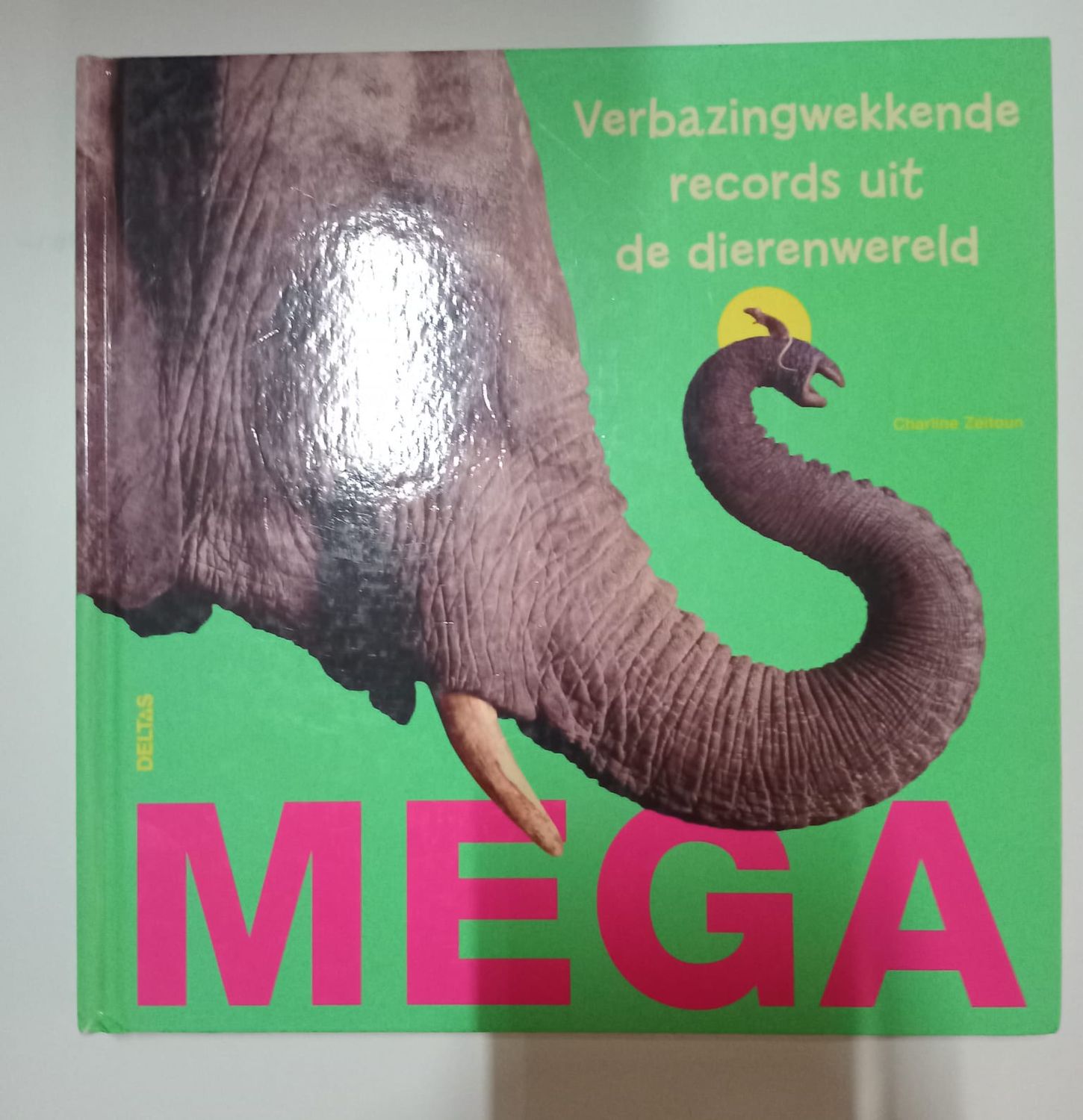 Mega 63
