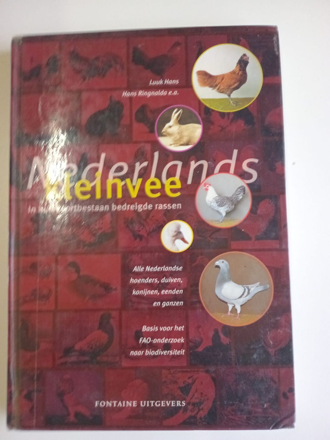 Nederlands kleinvee 65