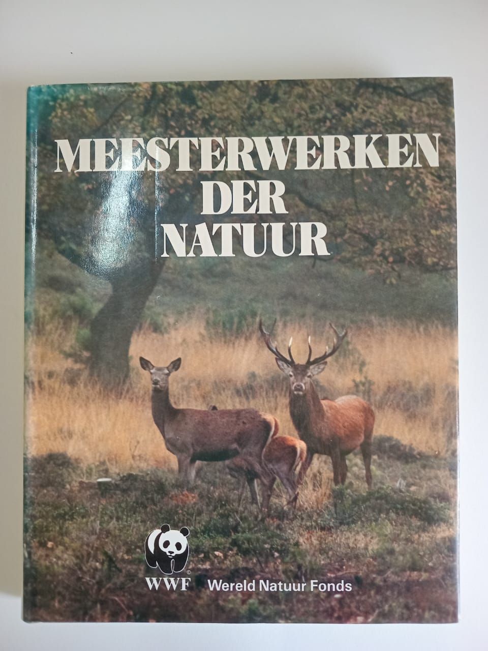 Meesterwerken der natuur 40