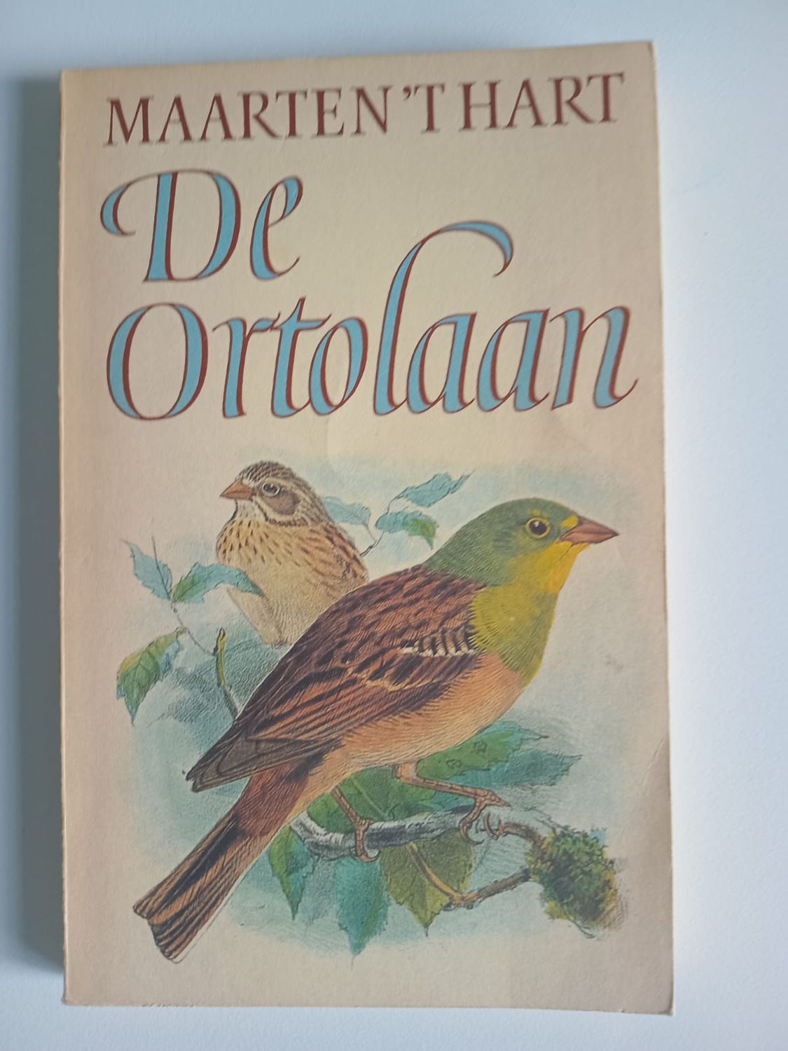 De ortolaan 72