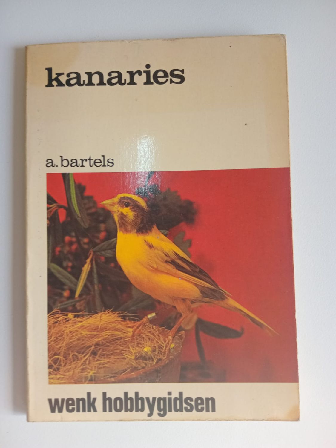 Kanaries 72