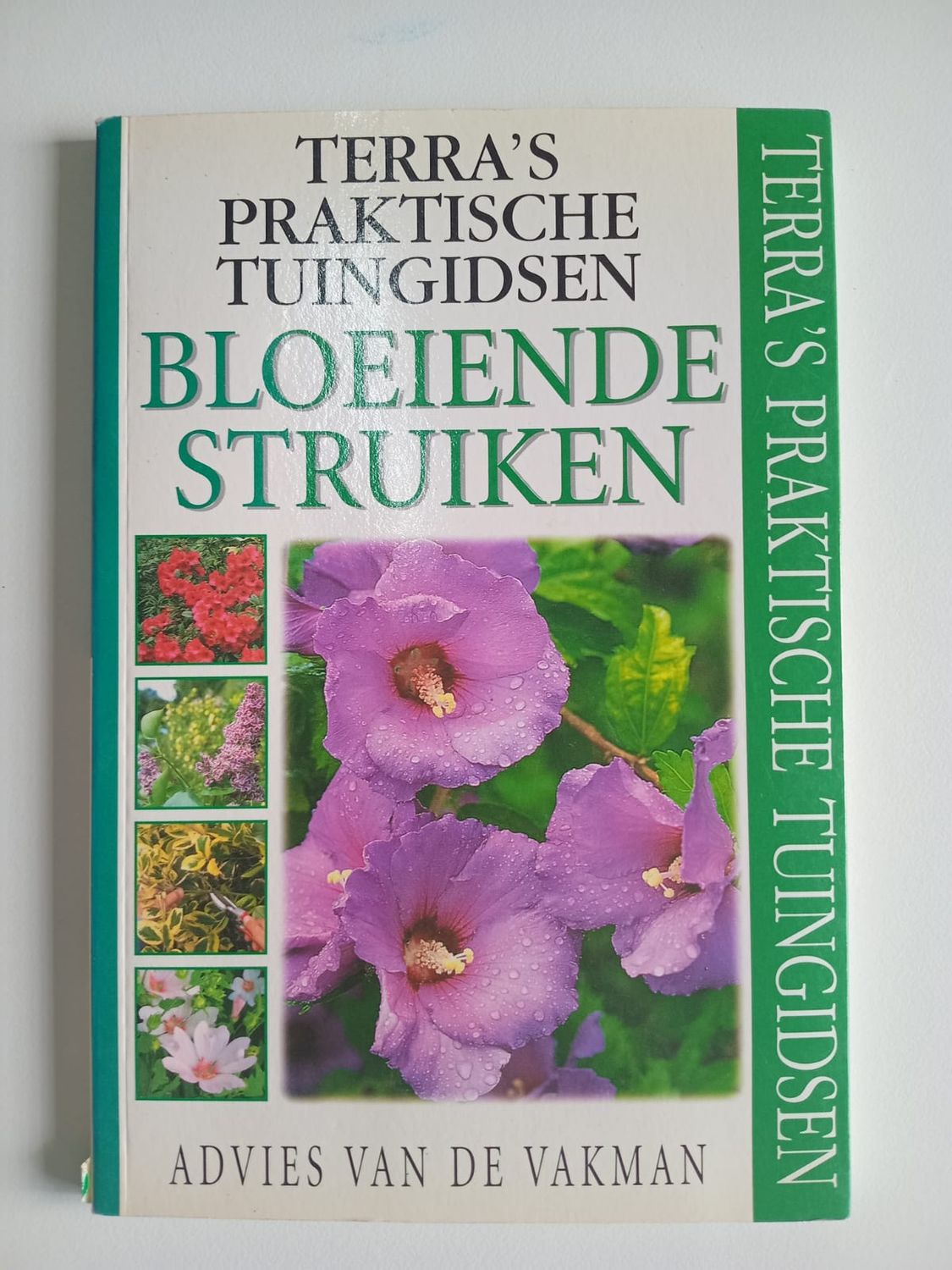 Bloeiende struiken 72