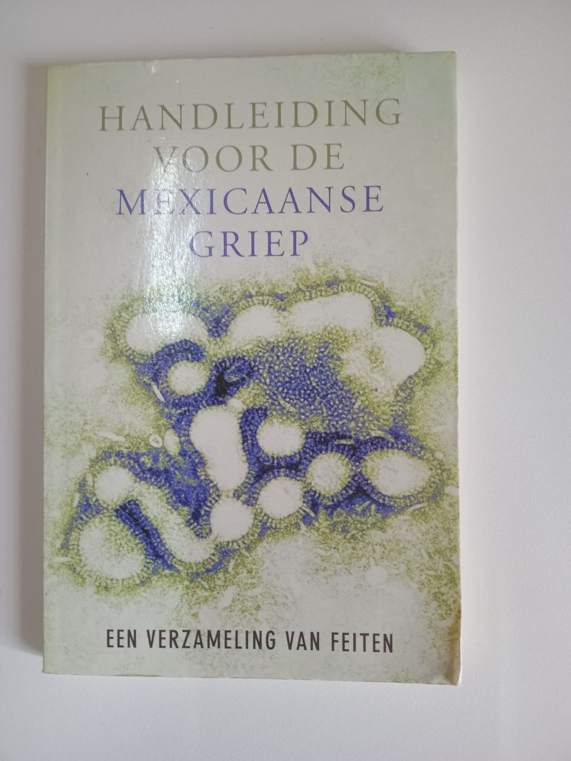 Mexicaanse griep 28