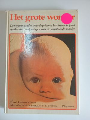 Het grote wonder 75