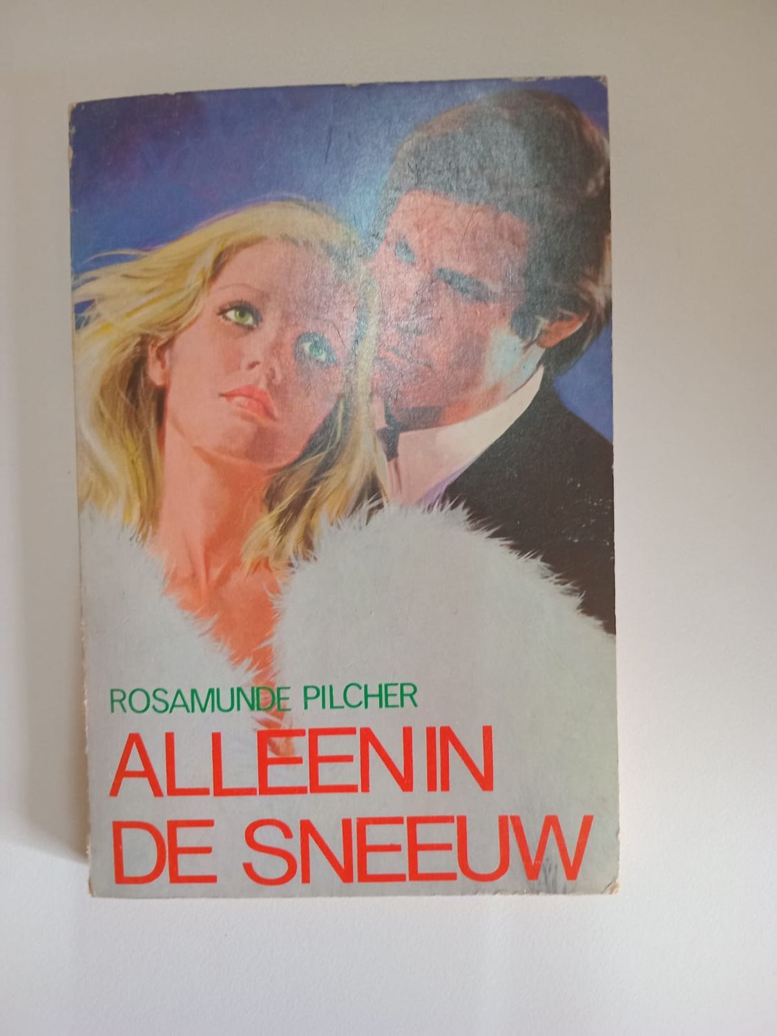 Alleen in de sneeuw 78