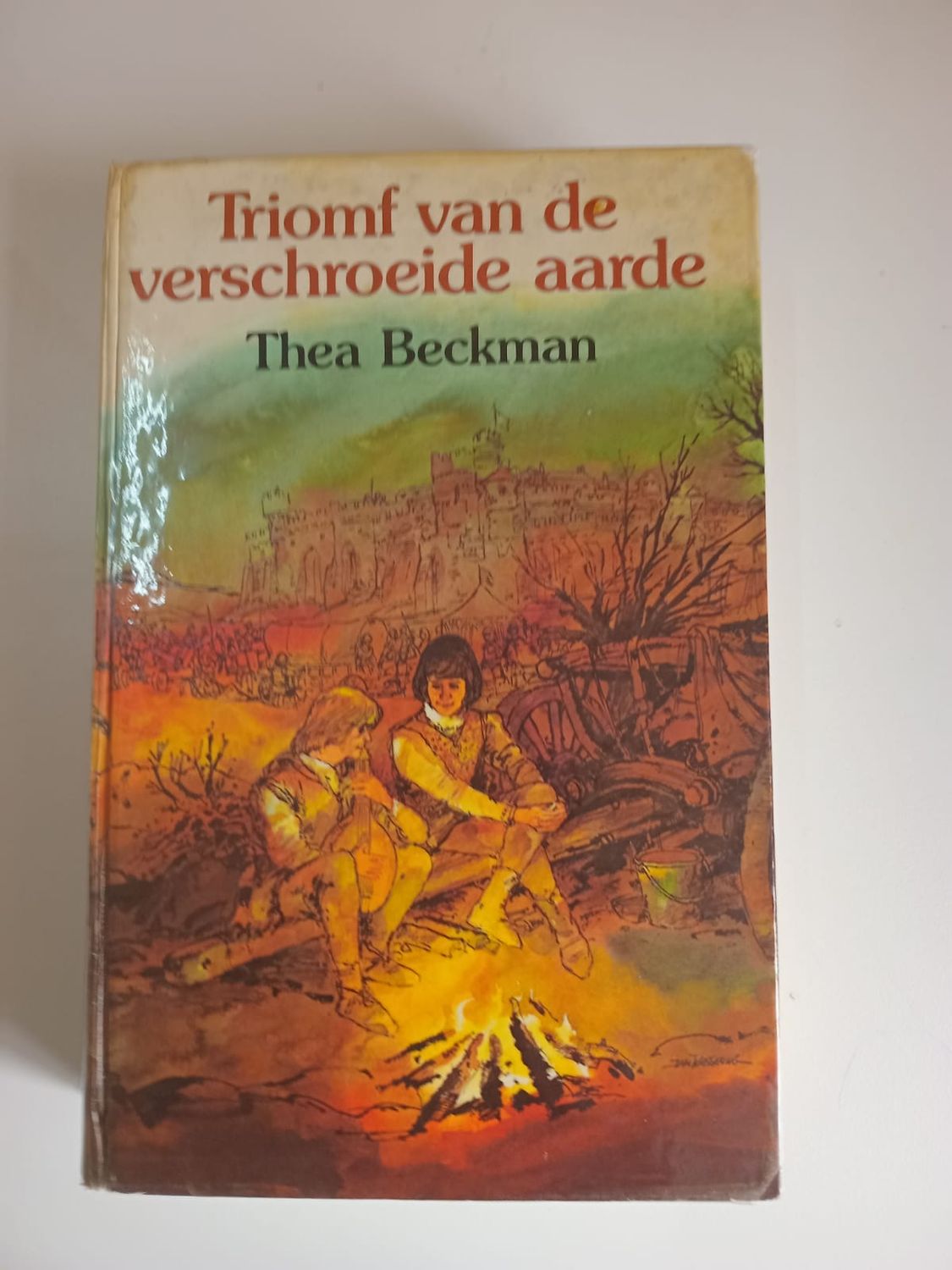 Triomf van de verschroeide aarde 79