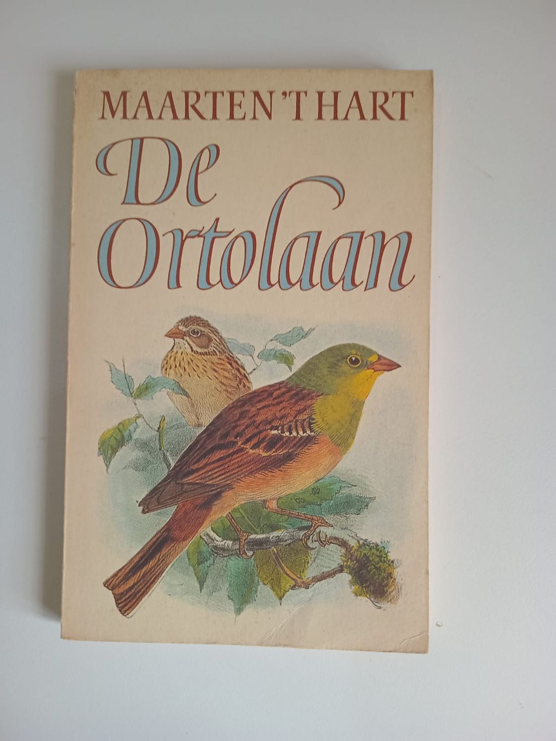 De Ortolaan 79