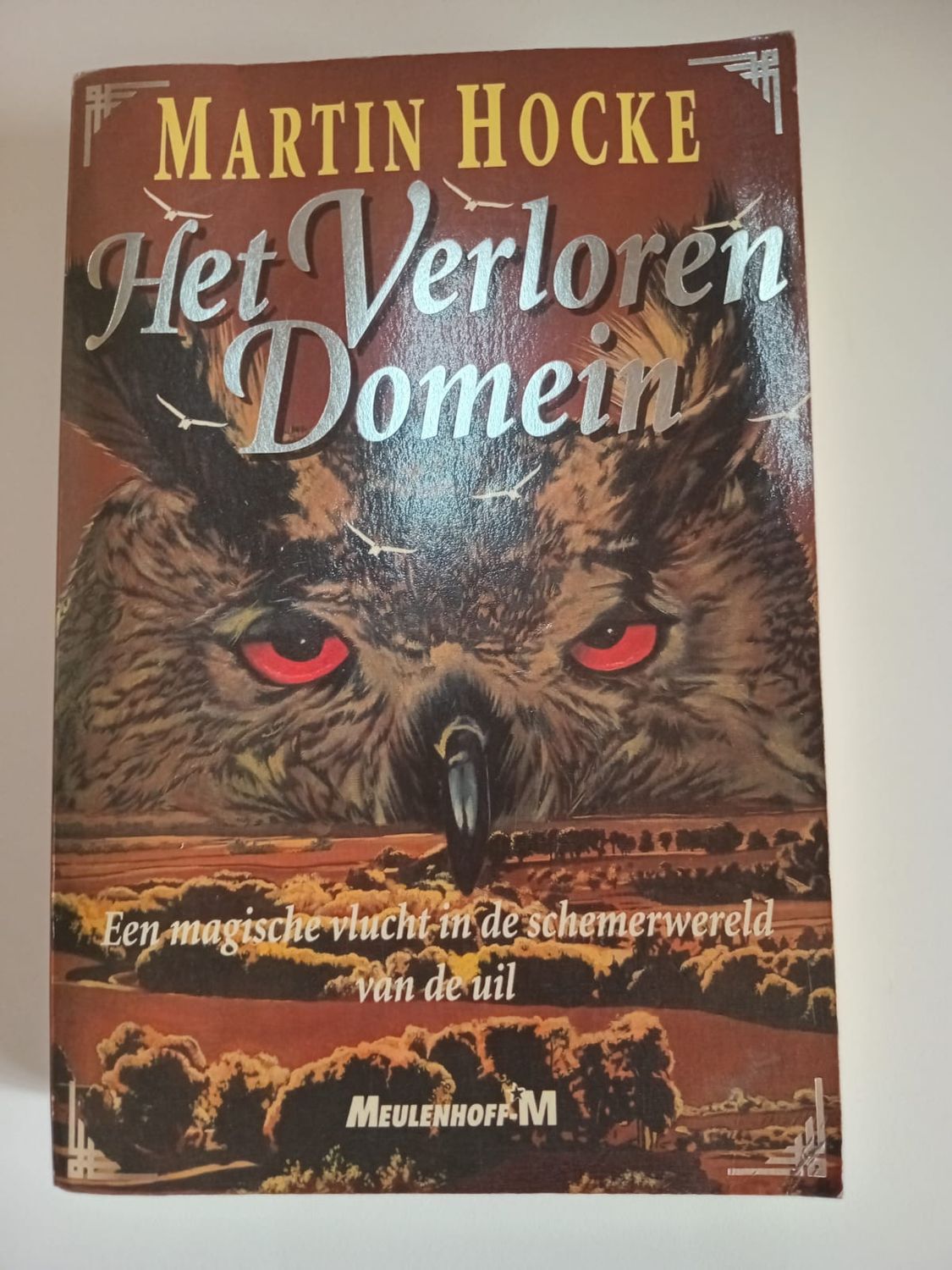 Het verloren Domein 80