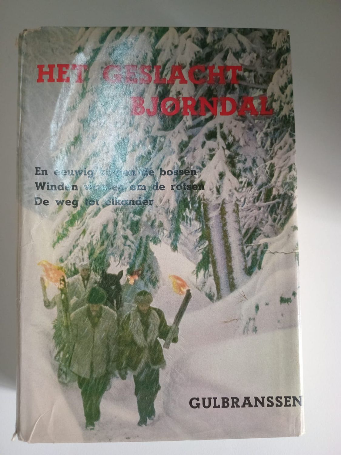 Het geslacht bjorndal 81