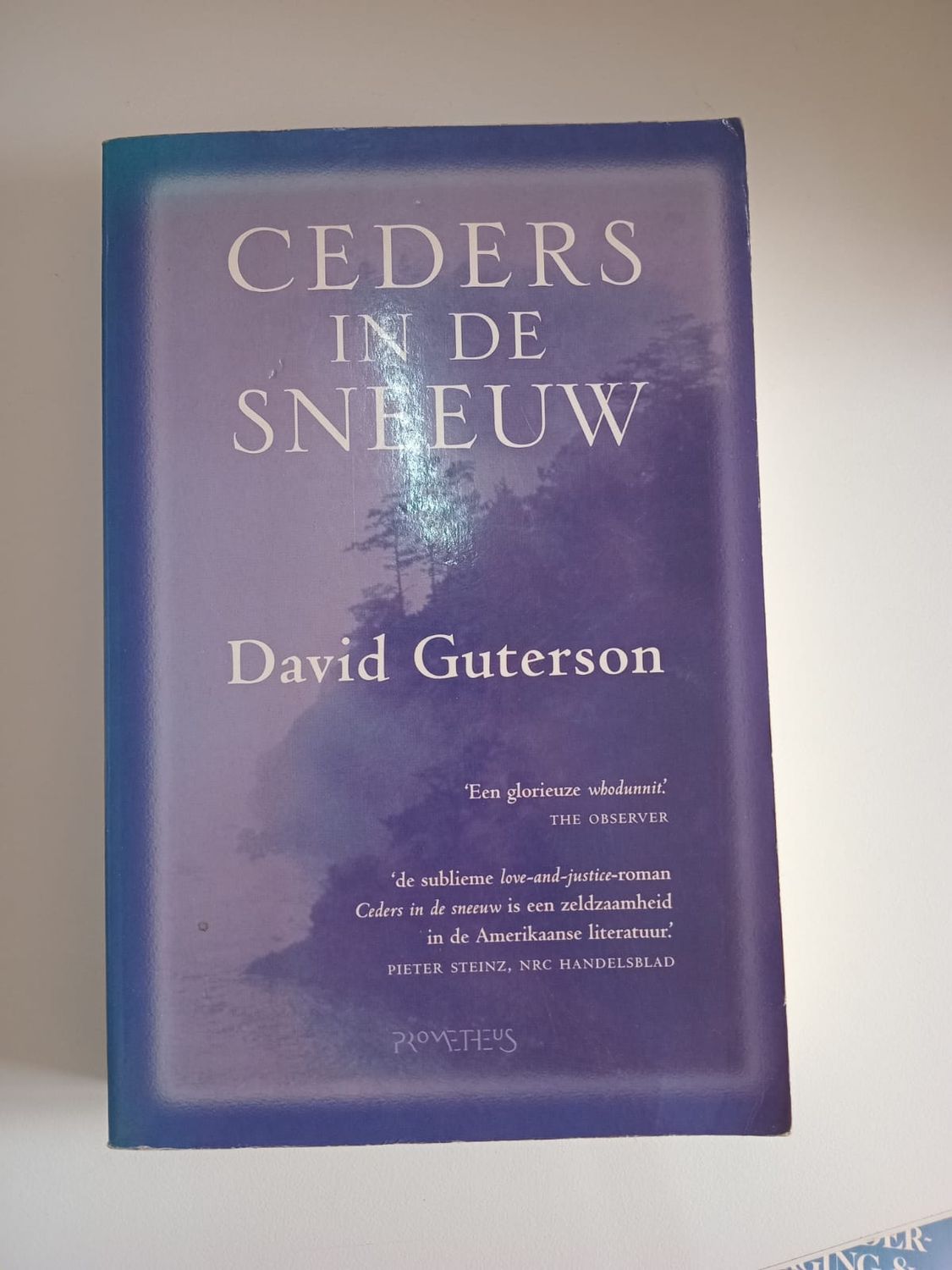 Ceders in de sneeuw 81
