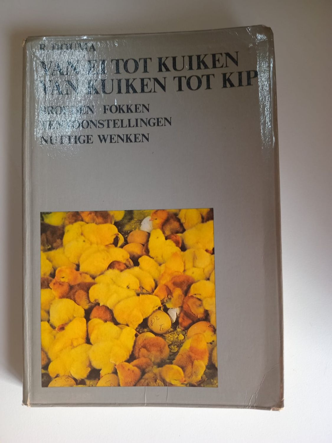 Van ei tot kuiken, van kuiken tot kip 82