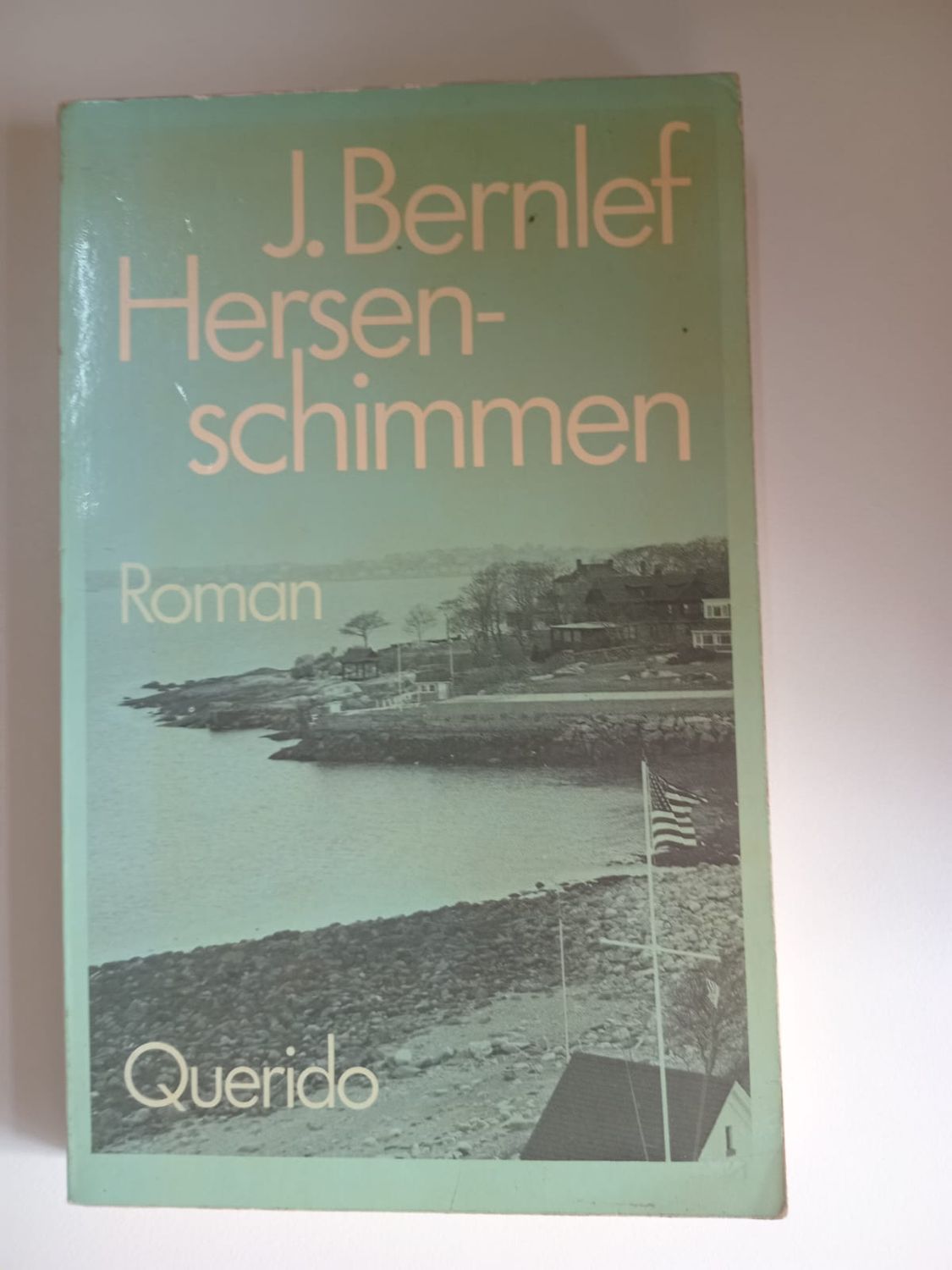 Hersenschimmen 82