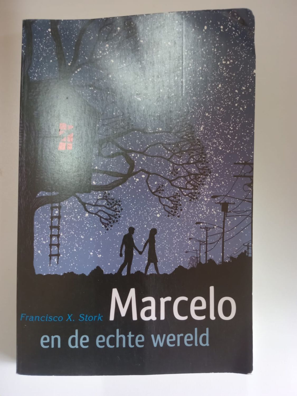 Marcelo en de echte wereld 83